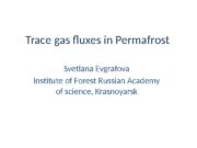 Trace gas fluxes in Permafrost Svetlana Evgrafova Institute