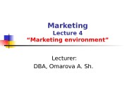 Marketing Lecture 4 “Marketing environment”  Lecturer: DBA,