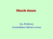 Muscle tissues Ass. Professor Goriachkina Valeria Lvovna