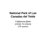 National Park of Las Canadas del Teide Сафронов