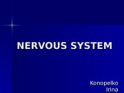 NERVOUS SYSTEM Konopelko Irina   The nervous