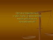 Презентация организационные структуры управления муниципальных предприятий Кузьмин