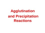 Agglutination  and Precipitation Reactions  Antigen An