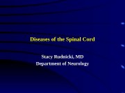 Презентация spinal disease