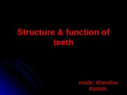 Structure & function of teeth made: Ahmetov Atabek.