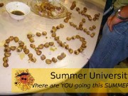 Where are YOU going this SUMMER? Summer University